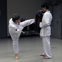 Karateka high kick